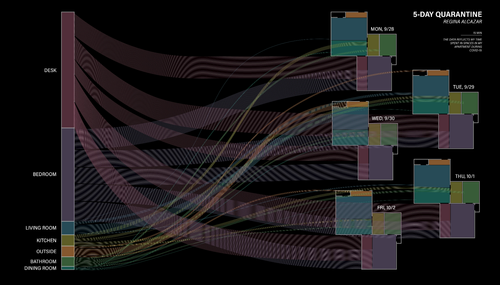 Regina Alcarzar _Self Quantification Project copy.png