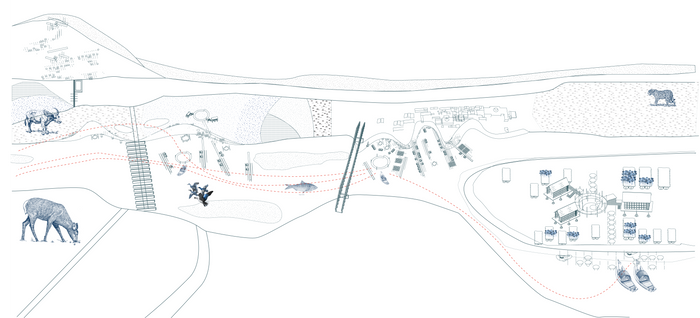 Ecological relationships between the different sites