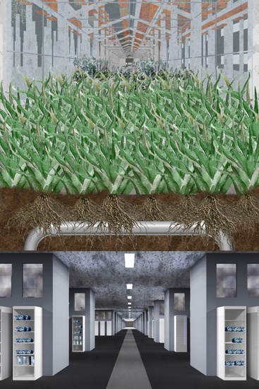 ARCH_HWANG_GenevieveMateyko_IanWach_SP20_10_DATACENTERCOLLAGE.jpg