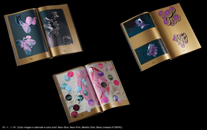 LC presentation slide: interior view of thesis project, slide caption reads: 81.–1., 1.–81. (Color images in alternate 4-color build: Neon Blue, Neon Pink, Metallic Gold, Black (instead of CMYK))