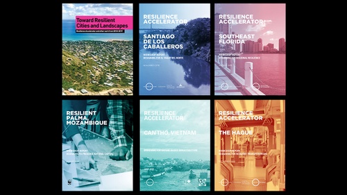 190101_Reports published by the Center for Resilient Cities and Landscapes.jpg