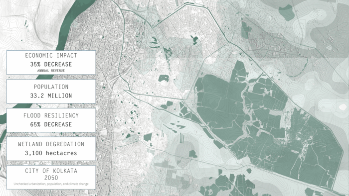 Shrinking Wetlands: Impact of Ecological Loss