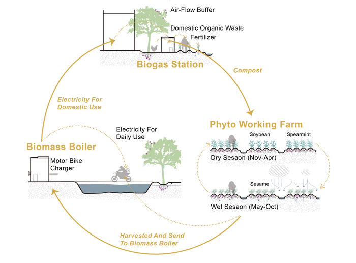 Phyto-technology as biomass for new energy systems