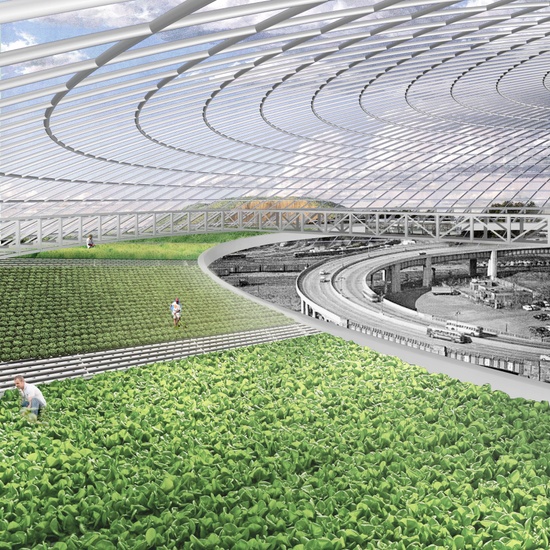 ARCH_HWANG_JiazhenLin_HelenWinter__TianyuYang_SP20_34_Dome Farming Collage draft3.jpg