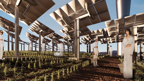 ARCH BENJAMIN_GejinZhu AnaHernandez_SP22_01 SolarFarmRender_FINAL.png