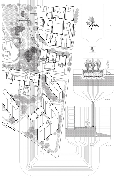 ARCH Roy WillCao FA21 05 B_W 02 Full.jpg