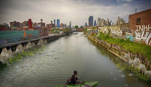 Rendering of river and oyster crete proposal
