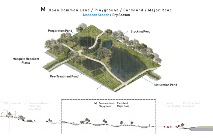 Scaled Design M.gif