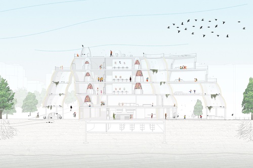 ARCH Dixit MauraCostello SP22 47 BuildingSection.jpg