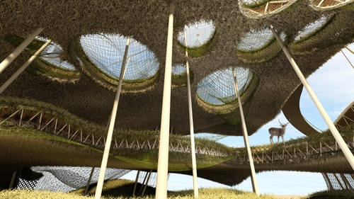 ARCH_TSURUMAKI_Kshama D. Daftary FA20 Interior view of the tree canopy.jpg