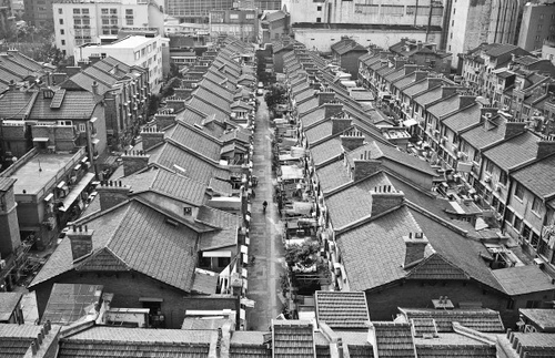 02_BirdView.jpg