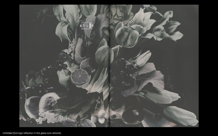 LC presentation slide: view of page spread from Unfolded publication, where an exit sign is visible as a reflection in the glass over artwork