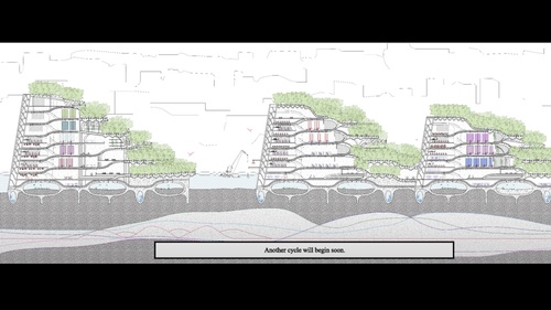 Qingying-Wang_Rui-Wang.jpg