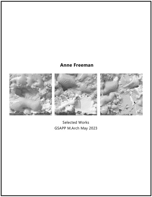 Freeman_Anne_af3139_MARCH - Anne Freeman.jpg