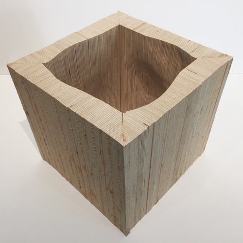 VS_Lignano Giuseppe_Tolla Ada_James _FA19_Make-Wood.jpg
