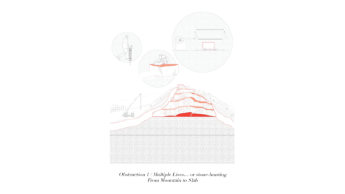 ARCH-Diam-Kolb-CharulPunia-FA21.gif