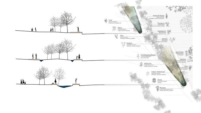 Detail: Bringing the permeable wetlands edge into the city center