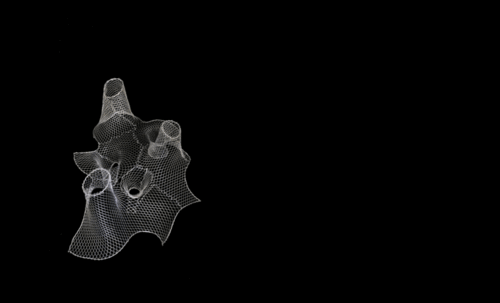 AAD Anastas Ting-HaoChen MingDing SU22 Models.gif
