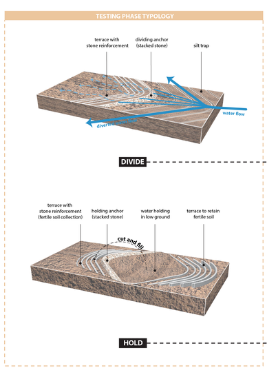 02b Testing phase typology.png