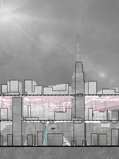 VS_BST Zhang Wilson KaterinaGregoriou ChrisDeegan SP22 1 OptimizingDystopiaFutureNYC.png