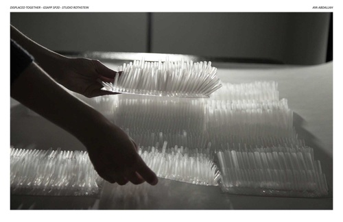 Pages from ARCH_Rothstein_AyaAbdallah_SP20_EOYS.jpg
