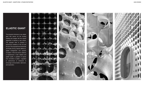 Pages from ARCH_Rothstein_Hao Zhong_SP20_EOYS.jpg