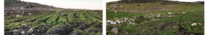 02c_relatively better ecological conditions.jpg